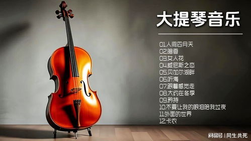 跨越音樂邊界,大提琴演繹流行與古典交響,每一音符都觸動心弦
